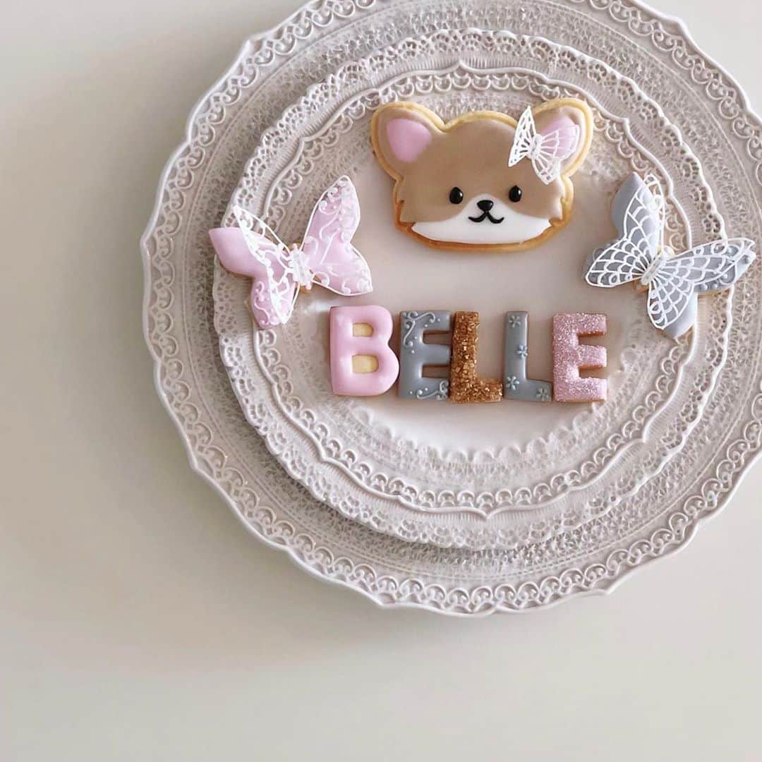 のインスタグラム：「* * 🐶Belle with butterfly🦋 * ベルと蝶々が戯れているところを妄想しながら作りました😍 * ↪︎↪︎↪︎3枚目、ご対面♡ * #アイシングクッキー #アイシング #アイシングクッキー作り #アイシングクッキー練習中 #アイシングクッキー認定講師 #アイシングクッキー🍪 #チワワクッキー #蝶々クッキー #犬クッキー #手作りお菓子 #手作りクッキー #手作りおやつ #icingcookie #icingcookies #decoratedcookies #チワワ #chihuahua #chihuahualove」