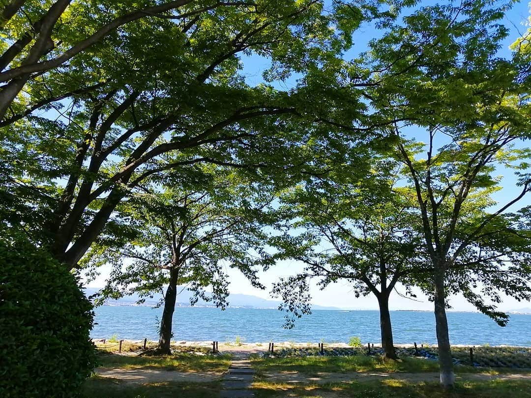 林智美 さんのインスタグラム写真 - (林智美 Instagram)「リゾート感出てます？  すぐそこの琵琶湖です😏 今日のマザーレイクは最高だったぞ。  #琵琶湖 #びわ湖 #なぎさ公園 #滋賀 #大津 #地元 #もう完全に夏だった🌴 #not3密 #貸し切り状態 * どうしてもこの青色に入り込みたくて、 セルフィーやってみた。 恥ずかしかった←  ピントも合わず、なんやその顔🤣 ってなってますが、 良きお天気の中リフレッシュにはなりました◎ でも次は誰か一緒にいこう？🥺笑」6月8日 21時01分 - h_tomomi_i