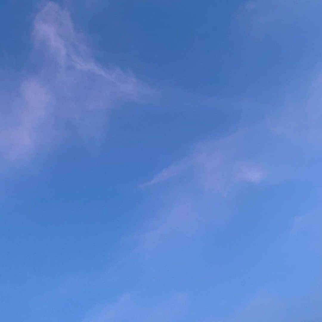 野島樺乃のインスタグラム：「#空 #青空 #오늘하늘  #sky」