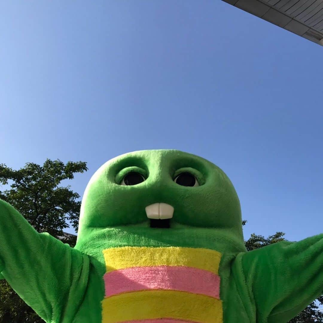 ガチャピンさんのインスタグラム写真 - (ガチャピンInstagram)「明日も暑いって！」6月8日 21時14分 - gachapin_official