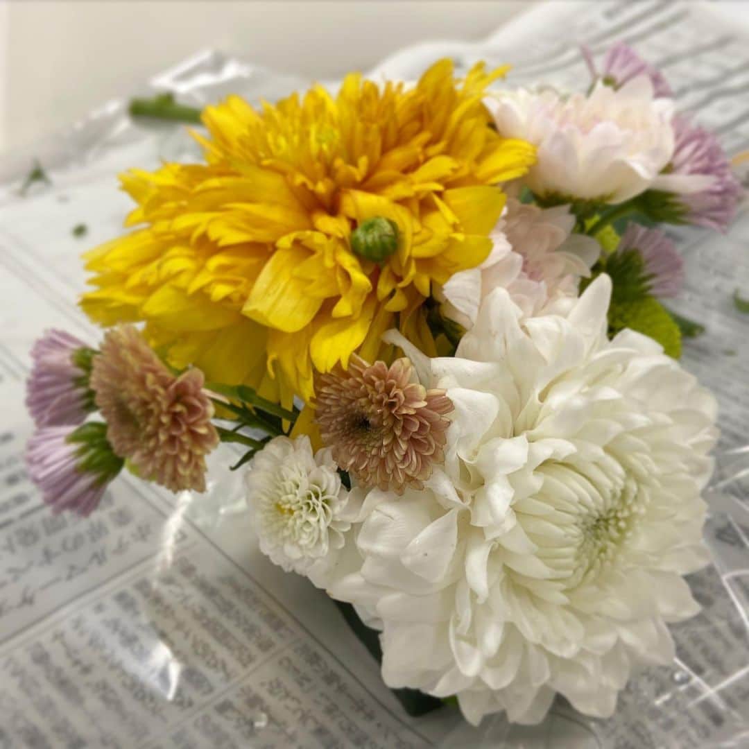 @aroma アットアロマさんのインスタグラム写真 - (@aroma アットアロマInstagram)「マムというのは、実は菊のこと。 カラフルで種類も多く、一本の茎にいくつもの花を咲かせるスプレーマムなどが人気がありますが、西洋菊のことを指します。 菊の学名は、Chrysanthemum（クリサンセマム）。そこからマムと呼ばれている可愛らしいお花です。 . . 今日は、お裾分けでいただいたバケツいっぱいのマムで、ランチタイムにフラワーアレンジメント講座。 オアシスにそれぞれが思い思いのアレンジメントを作りました。明るく元気なお花を触っていると気分も和みます。 . . #ataroma #workshop #flowerarrangement #mum #lunchtime #アットアロマ #マム #フラワーアレンジメント #西洋菊 #社内ワークショップ #植物のある暮らし」6月8日 21時50分 - ataroma_official
