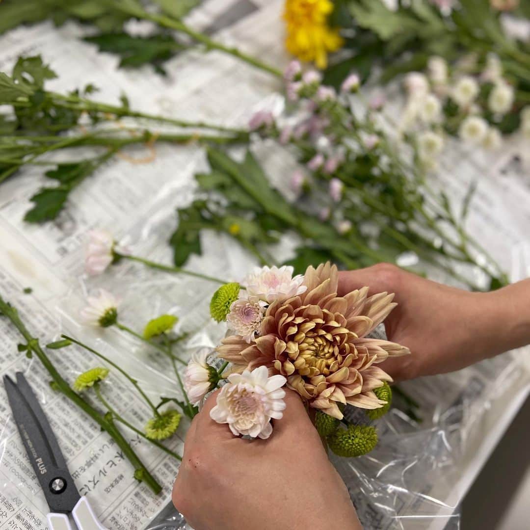 のインスタグラム：「マムというのは、実は菊のこと。 カラフルで種類も多く、一本の茎にいくつもの花を咲かせるスプレーマムなどが人気がありますが、西洋菊のことを指します。 菊の学名は、Chrysanthemum（クリサンセマム）。そこからマムと呼ばれている可愛らしいお花です。 . . 今日は、お裾分けでいただいたバケツいっぱいのマムで、ランチタイムにフラワーアレンジメント講座。 オアシスにそれぞれが思い思いのアレンジメントを作りました。明るく元気なお花を触っていると気分も和みます。 . . #ataroma #workshop #flowerarrangement #mum #lunchtime #アットアロマ #マム #フラワーアレンジメント #西洋菊 #社内ワークショップ #植物のある暮らし」