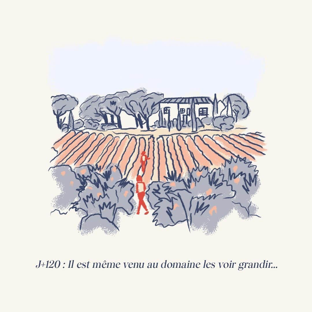 My Little Parisさんのインスタグラム写真 - (My Little ParisInstagram)「Et si on prenait le temps. Le temps d'apprécier, de savourer, de voir grandir. On s'est maqué avec @cuveeprivee pour faire plaisir à nos (vos) papas. À la traditionnelle bonne bouteille, on a préféré le pied de vigne. Parce qu'en adopter et apprécier sa cuvée privée, ce n'est pas donné à tout le monde (spoiler : finalement, si). On va même vous l'offrir. Des vignes de Saint Émilion Grand Cru du Château de la Cour juste pour votre papa (ou pour vous) ? ⠀⠀⠀⠀⠀⠀ Likez et taguez un(e) ami(e) en manque d'inspiration pour la Fête des Pères. Tirage au sort dans 4 jours. Santé !」6月8日 21時57分 - mylittleparis