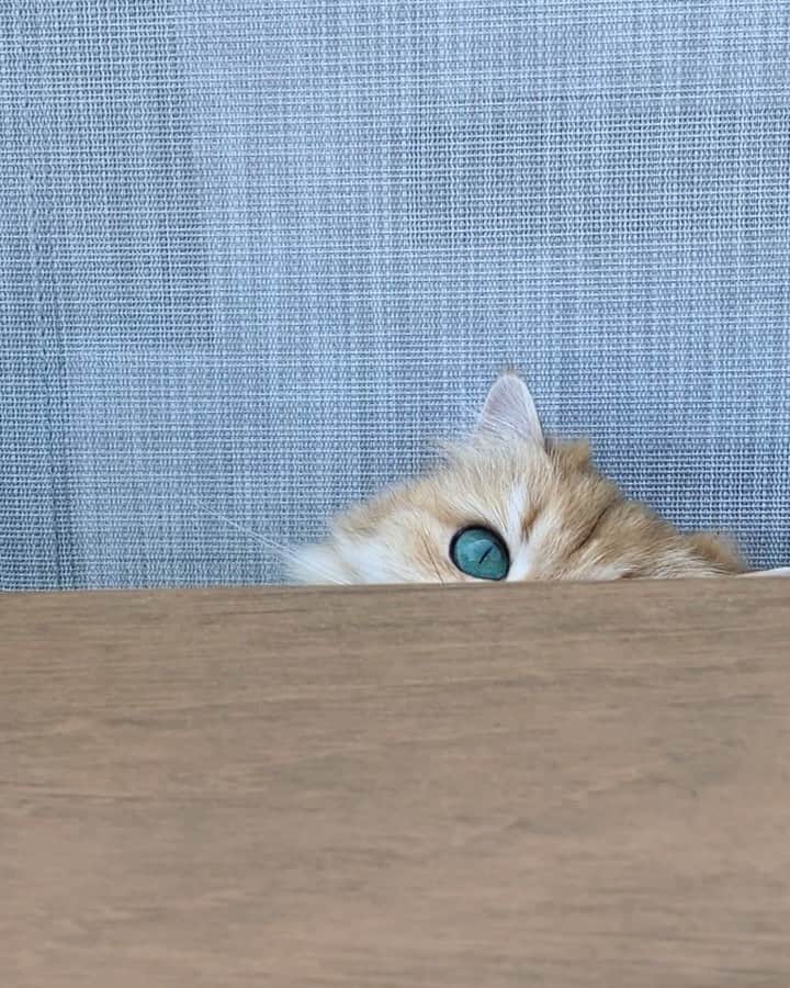 Smoothieのインスタグラム：「Nothing goes unnoticed. 👀」