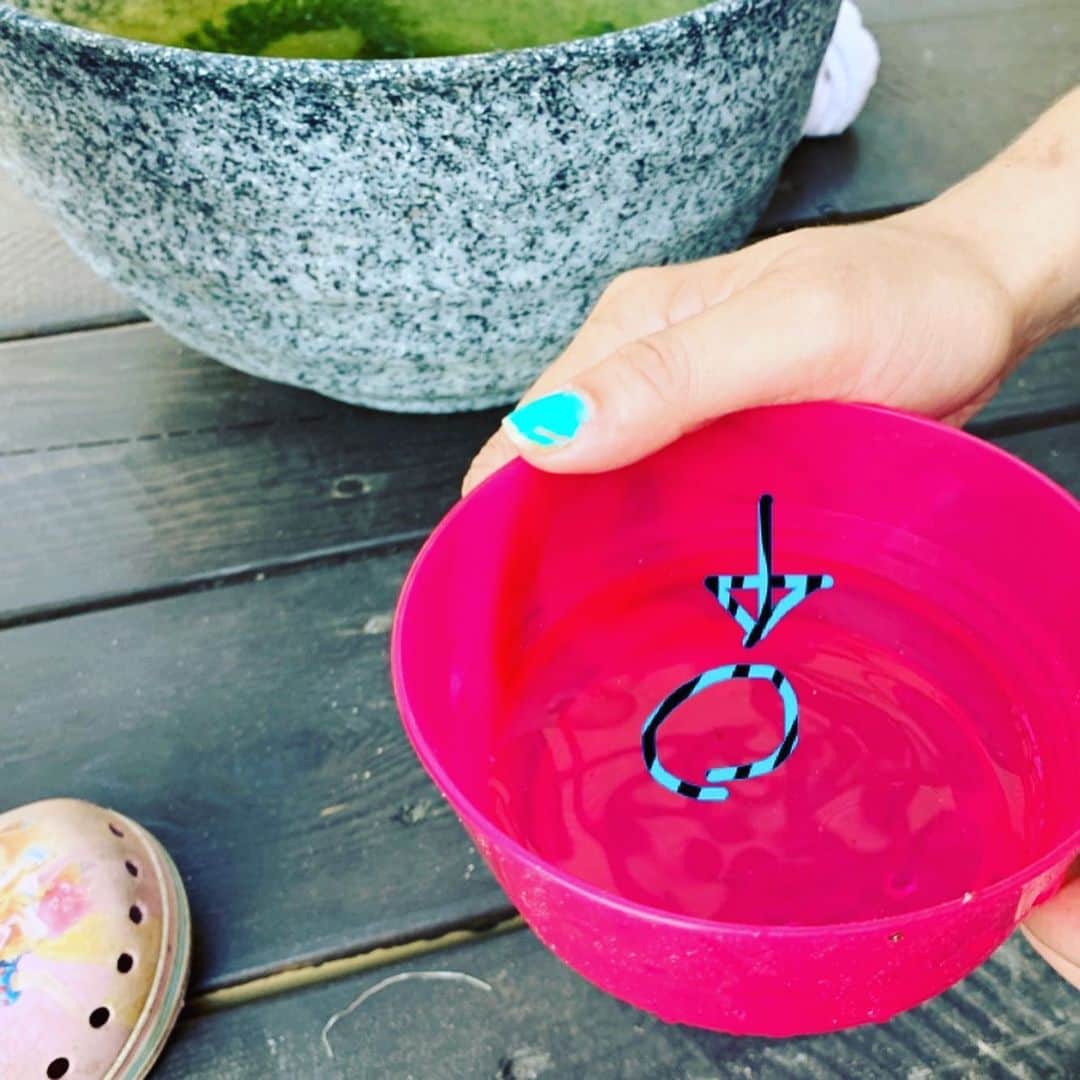 SHELLY（シェリー）さんのインスタグラム写真 - (SHELLY（シェリー）Instagram)「大事件です！！ メダカのっっ！！ メダカの赤ちゃんがっっっ！！ メダカをくれたご近所さんから頂いた水草に卵らしきものがついてたけど、まさかかえるとは😱  #メダカは赤ちゃんを食べちゃうらしい #大至急赤ちゃんメダカ避難 #ちゃんと育ってくれるかな… #インスタがメダカネタだらけになってしまう」6月8日 22時18分 - shelly_official_shelly