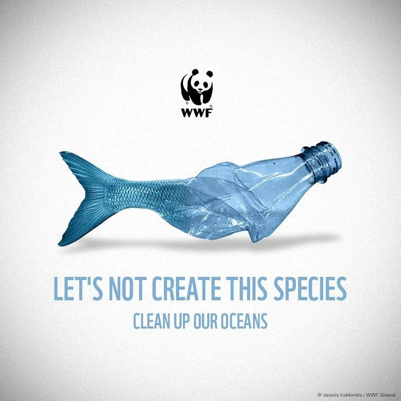 Armin Van Buurenさんのインスタグラム写真 - (Armin Van BuurenInstagram)「Today it's #worldoceansday, my first one as global oceans ambassador which feels very special.⁠ Tackling plastic pollution doesn’t have to be a big, daunting task. Urging governments to take action through the power of our voices has the ability to create a wave of change and save our oceans 🌊⁠⠀ ⁠⠀ ⁠⠀ ⁠⠀ Plastics are already entering our food, water, and air. There is no time to waste. Sign the petition via the link in my bio. ⁠⠀ ⁠⠀ ⁠⠀ ⁠⠀ #WorldOceansDay #StopPlasticPollution #ProtectOurHome⁠⠀ #PlasticFreeForTheSea #PlanetOrPlastic #globaloceansambassador」6月8日 22時14分 - arminvanbuuren