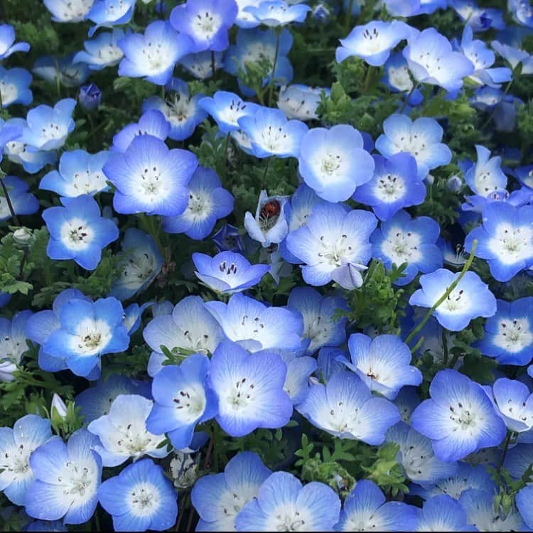 RUUNAのインスタグラム