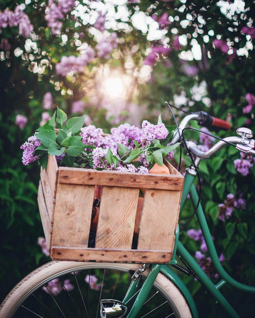 Linda Lomelinoのインスタグラム：「🌿💜🚲」