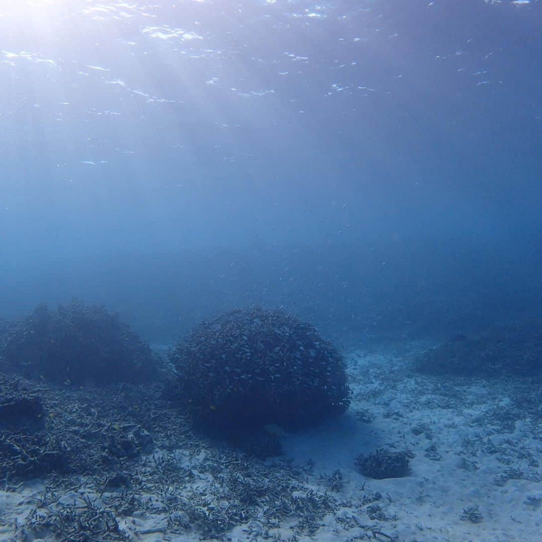小林由佳さんのインスタグラム写真 - (小林由佳Instagram)「#世界海洋デー #海 #守るべきもの #私達にできること  もっと知りたい、知らなきゃいけない。癒しをくれる場所。また行きたい、波音に癒されたい」6月8日 22時26分 - ykp_qkb