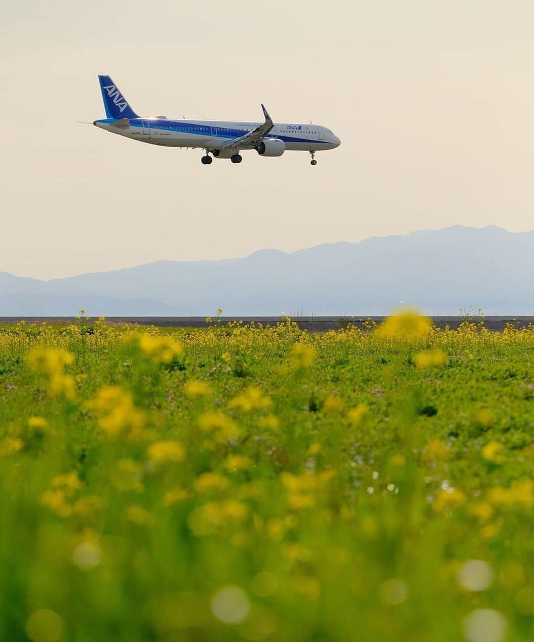 All Nippon Airwaysさんのインスタグラム写真 - (All Nippon AirwaysInstagram)「We can’t wait to take off with you onto your next journey. Who are you looking forward to reuniting with most? #FlyANA #Regram 📷: @viva.yamasemi」6月8日 22時46分 - allnipponairways