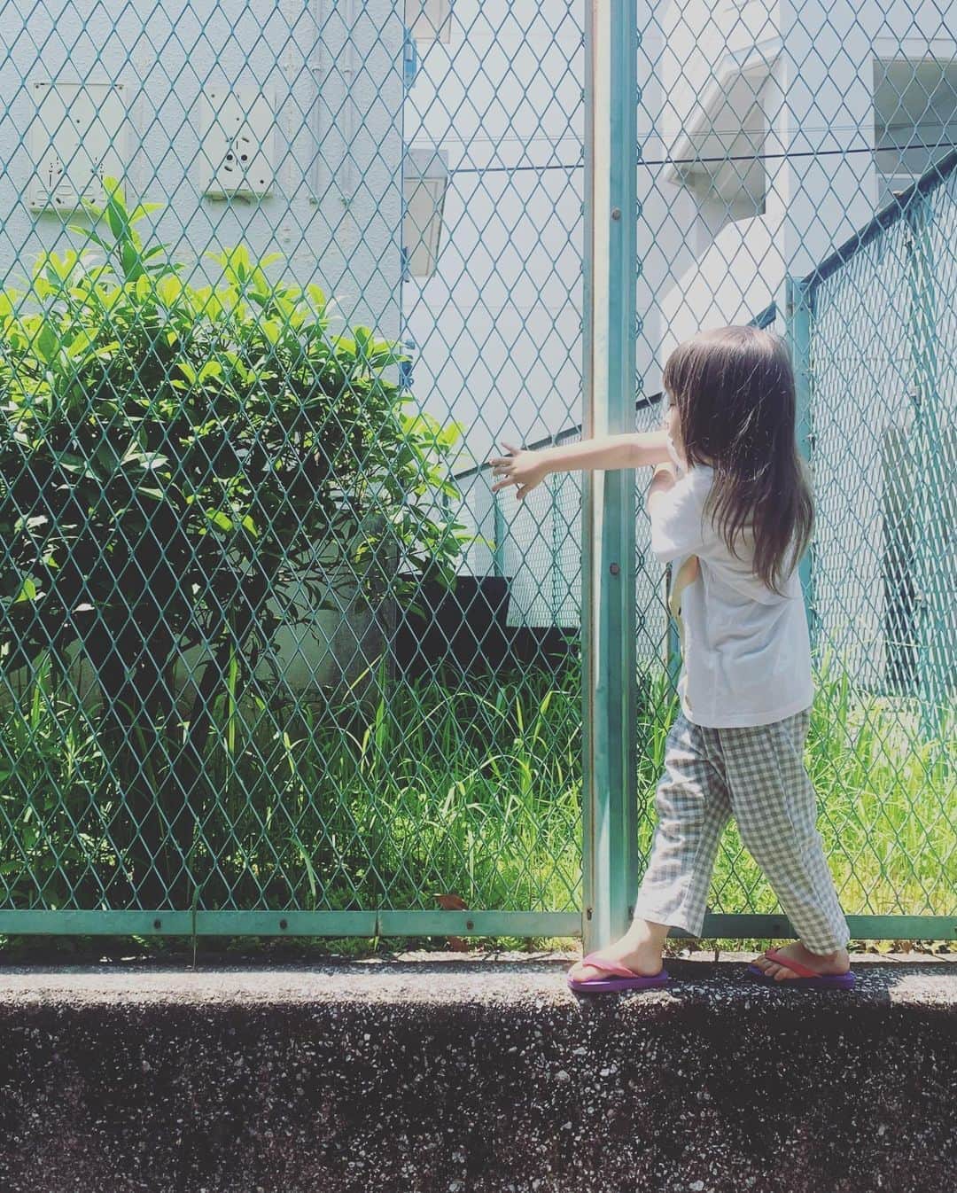 坂本美雨さんのインスタグラム写真 - (坂本美雨Instagram)「できなかったことが突然できた！になり かと思えば また失敗してショボンとし…  親は、忍耐強さと、欲しそうだったら励ましと、 "まぁいっか〜”力をフル稼働させてそばにいよっと。 . . #今日のなまこちゃん  #4歳10ヶ月」6月8日 23時13分 - miu_sakamoto