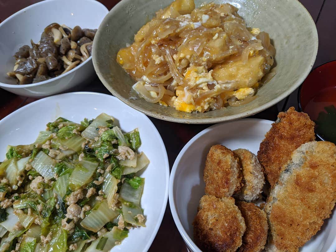 山部朱里のインスタグラム：「. . 【台所に立った時点で立派な料理って教えてもらったよ】 ①お豆腐の卵とじ お豆腐に片栗粉つけて焼いて玉ねぎもいれて、めんつゆとお水とお砂糖少しそして溶いた卵で出来上がりです！お豆腐って安いのにお腹も満たされてアレンジしやすいのでよく使ってます！一丁39円でした。ドラッグストアで買ったよ！ポイントもつくからお得ですね！ ②こんにゃくしめじ青じそドレッシング炒め そのままです！こんにゃくしめじ炒めて青じそドレッシング投入！青じそドレッシングは鶏むね肉にも炒めもので使っています！さっぱりした青じその風味とドレッシングなのでこってり甘じょっぱい味わいがこんにゃくにしみておいしいです！ ③白菜鶏ひき肉あんかけ 白菜を一口サイズに切る冷凍庫にストックしてる鶏ひき肉を解凍してフライパンで一緒に少し炒めるハナマサのはまぐりスープの素で味付けています。かた焼きそばとかチャーハンにかけてもおいしそうです！ひき肉ストックは、最初に炒めてるから温めるだけでも食べられるのがお気に入り。水溶き片栗粉でとろみをつけて、味をとじこめているのである ④二人目を出産してから買い物が大変だからと宅配サービスに加入しました。コープとパルシステム！その冷凍秋鮭フライなり 前に頼んでいた秋鮭フライは１０個入３９８円で安かったから買っていて、今日で使い切りました！ハナマサと八百屋さんに買い物いけるようになって、宅配で頼むのはアイスのみになりました← あ、秋鮭フライとハナマサで買った一口ハムカツです！２０個入３９８円！箸休めのようなポジションで使っています←食いしんぼうの考え . . #おうちごはん  #時短料理  #時短レシピ #節約生活  #節約ごはん  #節約 #節約レシピ #簡単料理  #簡単レシピ #パルシステム #コープ  #宅配  #冷凍保存  #ハナマサ #年子育児 #年子ママ #男の子ママ #子育て #育児 #フリーアナウンサー #ママ友がインスタグラム見てくれた #ほとんどラインの会話とおなじ🤣 #今までもこれからも地味スタグラムを見てくれるみなさんありがとうございます」