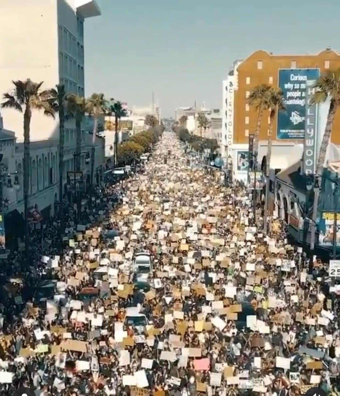 キャメロン・リチャードソンのインスタグラム：「👏👏 Love my City. No room for hate here.  #losangeles #BLM」