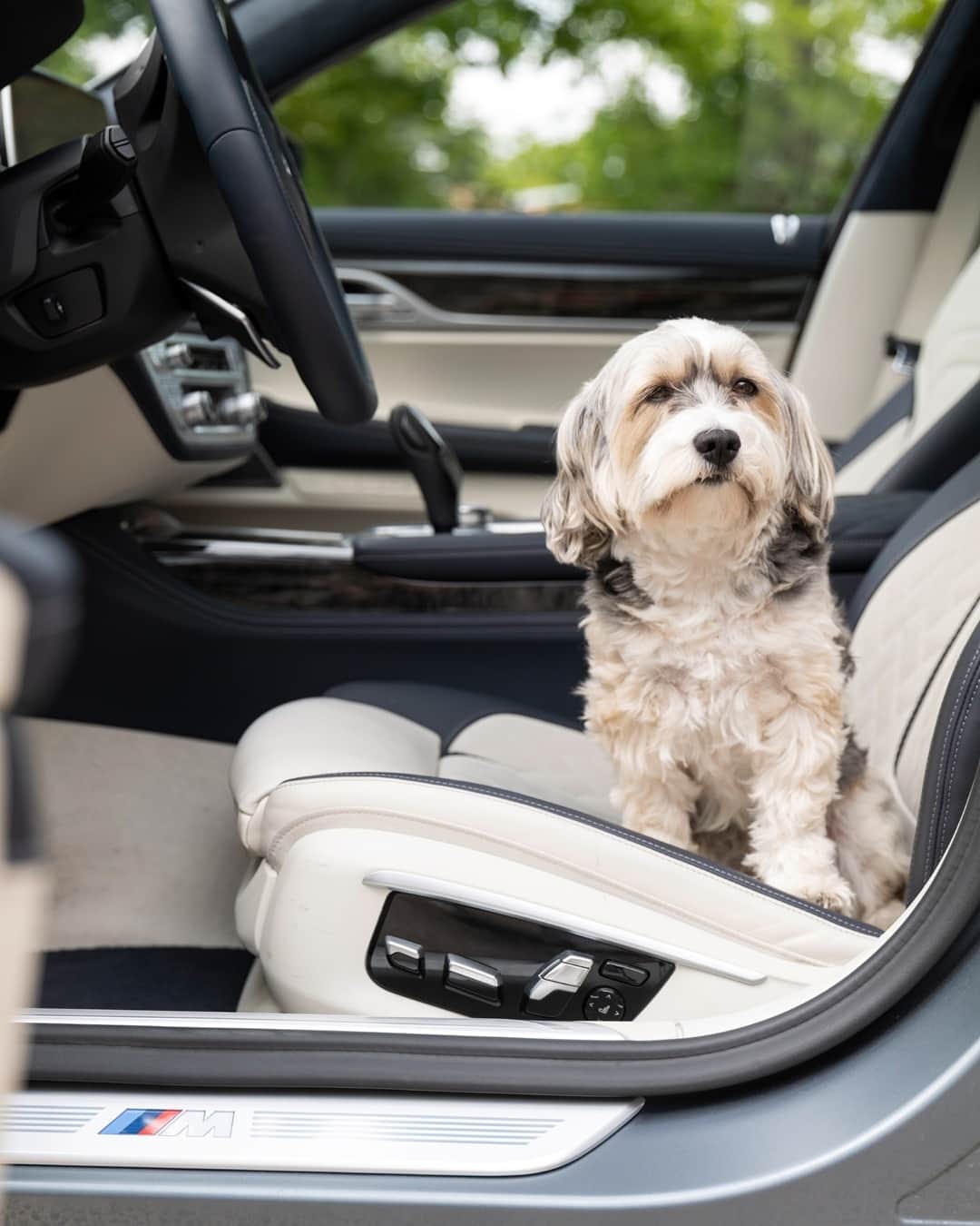 BMWのインスタグラム：「Be a Wolf. It's all about attitude. #BMW #7Series #luxurycars #instadogs #dogsofinstagram」