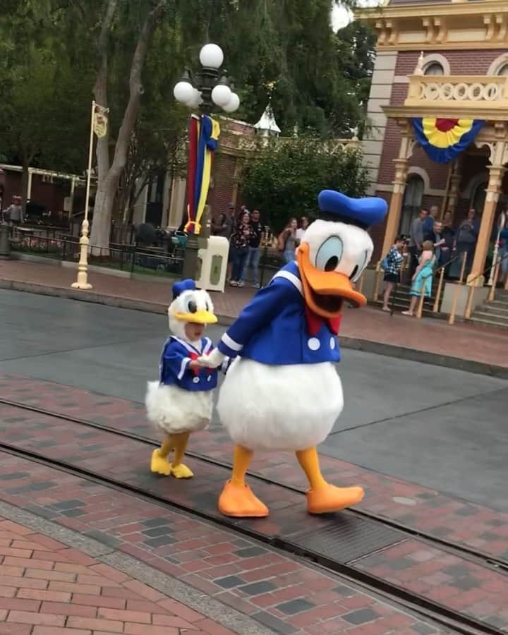 tiahy__のインスタグラム：「Happy Birthday Donald!!. . . . You can’t imagine how much he wants to see you . . . .  We want to see you again oneday!!. . . . Donaldと過ごした一番の思い出のmovieで. Congratulations 🎉. . #donald#donald_taia#taiacostume#ディズニーコスチューム#ディズニー衣装」