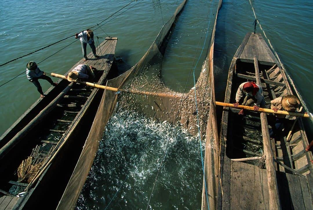 Michael Yamashitaさんのインスタグラム写真 - (Michael YamashitaInstagram)「Uncharted waters: the Mekong River, the lifeblood of Southeast Asia that has nourished civilizations for thousands of years is in deep trouble as water levels have reached record low levels. No country is feeling the heat — due to a continuing drought that is exacerbated by our warming planet —more than Cambodia, home to Southeast Asia’s largest lake, the Tonle Sap, which connects with the Mekong. The only hope is that nature will come to the rescue with an early start to this year’s rainy season which should begin this month.  Each year, after the rains begin, the Tonle Sap expands many times in size and provides vital habitat for fish. In a normal year, at least a half million tons of fish are taken from it, translating into the world's largest for one body of water and providing the 16 million people of Cambodia with most of its protein. In the past 2 years, though, it’s estimated that fish catches have declined up to 90 percent creating concerns for a major food crisis and forcing many fishermen to abandon their livelihoods. Here are photographs of some of those being affected.  #tonlesap #mekong #mekongriver #cambodia」6月9日 0時54分 - yamashitaphoto