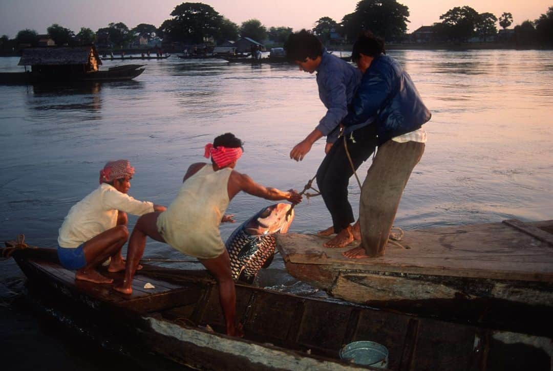 Michael Yamashitaさんのインスタグラム写真 - (Michael YamashitaInstagram)「Uncharted waters: the Mekong River, the lifeblood of Southeast Asia that has nourished civilizations for thousands of years is in deep trouble as water levels have reached record low levels. No country is feeling the heat — due to a continuing drought that is exacerbated by our warming planet —more than Cambodia, home to Southeast Asia’s largest lake, the Tonle Sap, which connects with the Mekong. The only hope is that nature will come to the rescue with an early start to this year’s rainy season which should begin this month.  Each year, after the rains begin, the Tonle Sap expands many times in size and provides vital habitat for fish. In a normal year, at least a half million tons of fish are taken from it, translating into the world's largest for one body of water and providing the 16 million people of Cambodia with most of its protein. In the past 2 years, though, it’s estimated that fish catches have declined up to 90 percent creating concerns for a major food crisis and forcing many fishermen to abandon their livelihoods. Here are photographs of some of those being affected.  #tonlesap #mekong #mekongriver #cambodia」6月9日 0時54分 - yamashitaphoto