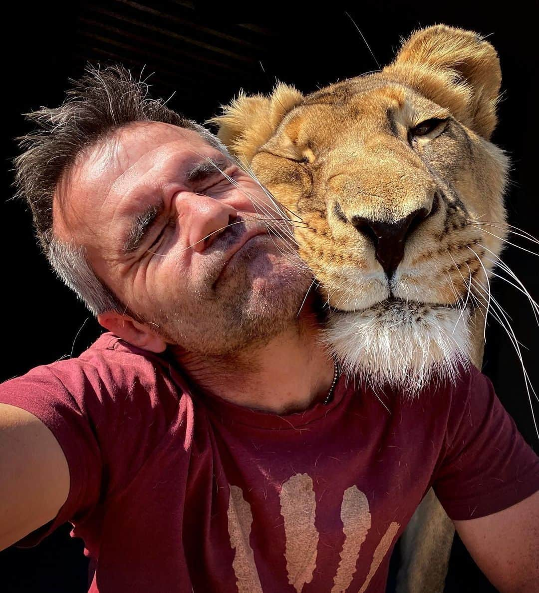 Kevin Richardson LionWhisperer さんのインスタグラム写真 - (Kevin Richardson LionWhisperer Instagram)「Hope you all have a peaceful and happy week. The world is a crazy place to be living in at the moment but all around us there is wonder and beauty. Sometimes I wish I could just be more like Meg and not sweat the small stuff. #belikemeg #askmeg #meg #coolcat #lioness #happymonday #mondaymotivation」6月9日 1時02分 - lionwhisperersa