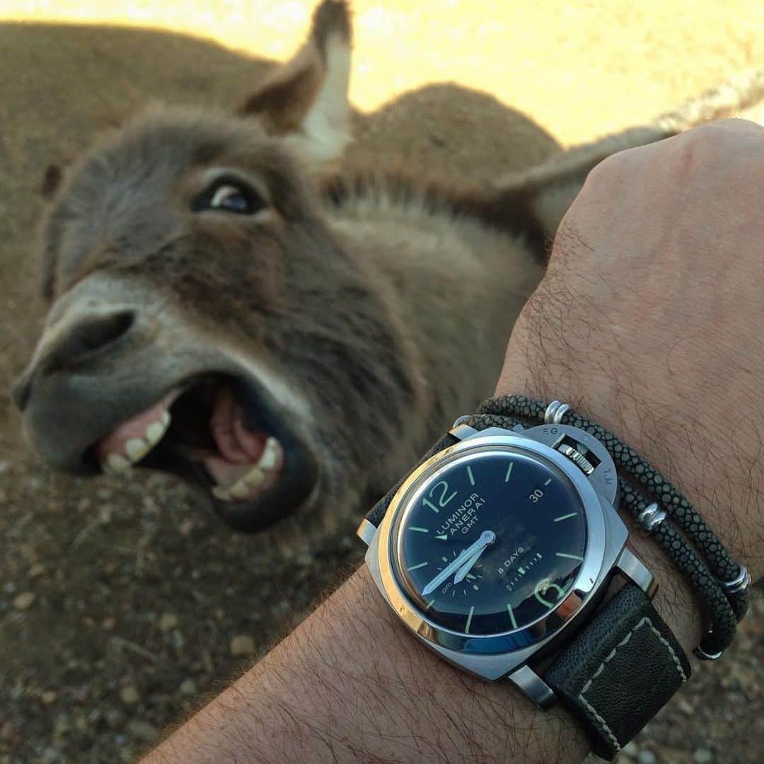 パネライのインスタグラム：「Time has gone on but your moments will forever be etched in history. How fast time goes by.  One of my favorite #Panerai shots of all time. The #PAM233 shown as only my brother @wristi could. #RIP」