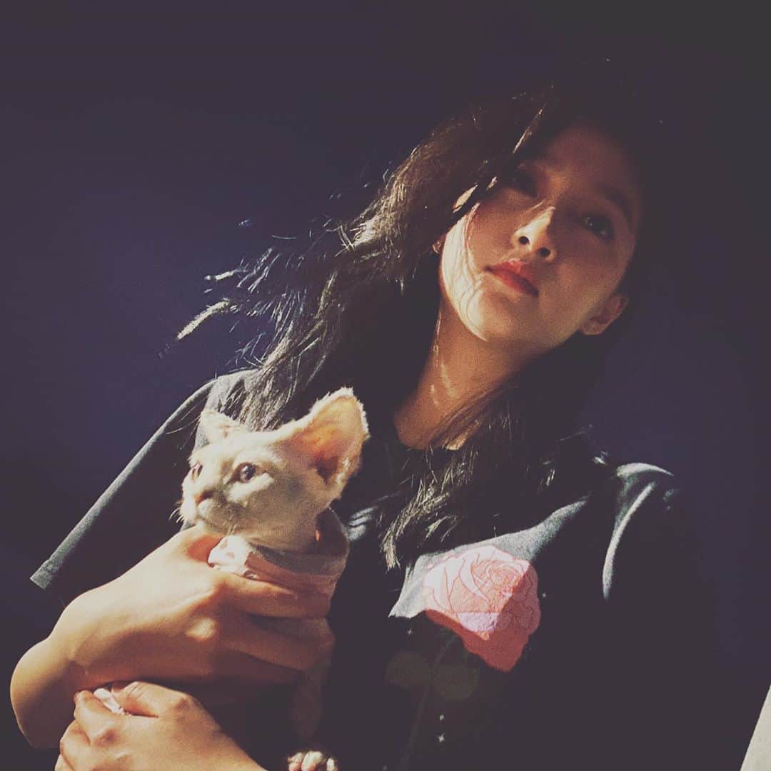 クアン・シャオトン（Guan Xiaotong）のインスタグラム：「😴」