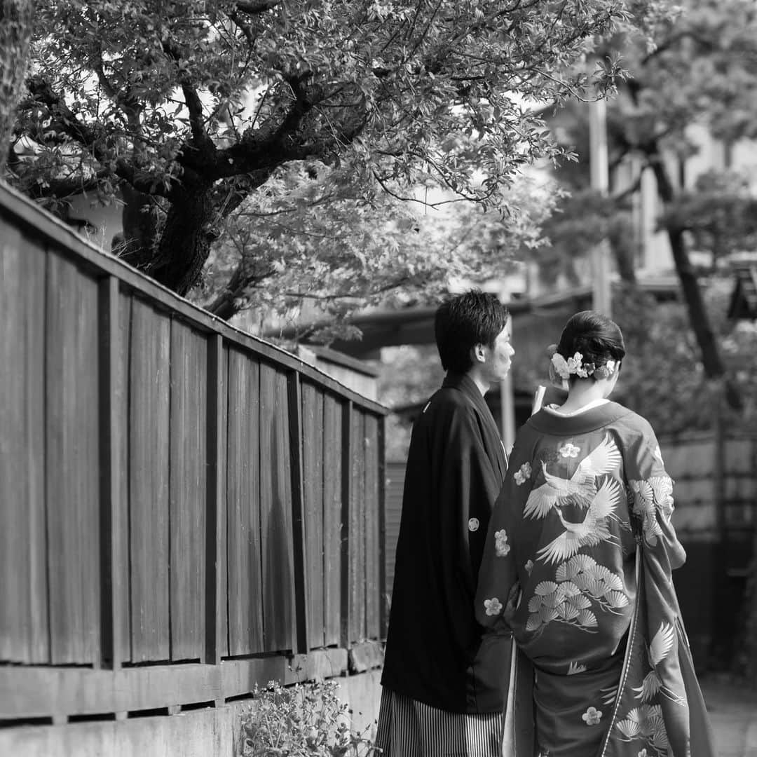 The KAMAKURA WEDDINGさんのインスタグラム写真 - (The KAMAKURA WEDDINGInstagram)「手刺繍で施された舞い飛ぶ鶴を美しく表現された紋意匠の打掛。朱色が目にも鮮やかで、純白の鶴が勢いよく飛びたつ姿が両家の繁栄を意味しています。 #鎌倉#湘南#鎌倉散歩#和婚#鶴岡八幡宮#鎌倉結婚式#結婚式#プレ花嫁#ウェディング#結婚式準備#鎌倉花嫁#着物#和装#鎌倉gram#神前式#ウェディングドレス#色打掛#白無垢#タキシード#コーディネート#ウェディングアクセサリー#打掛#綿帽子#紋付袴#引き振袖#綿帽子#オーセンティック#角隠し」6月9日 14時31分 - thekamakurawedding