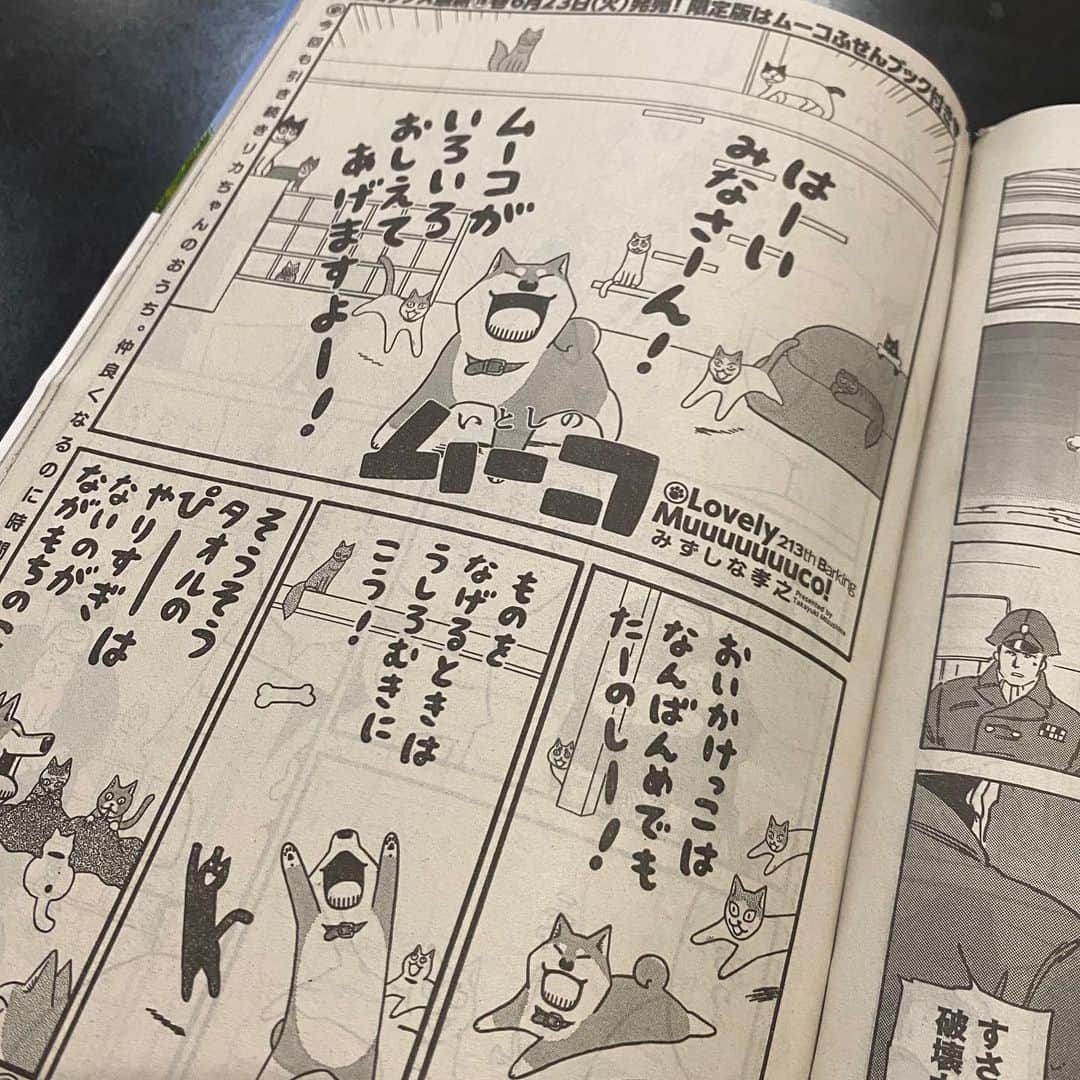 みずしな孝之のインスタグラム：「本日発売・講談社イブニングに 「いとしのムーコ」第213話掲載されてます。 前回に引き続きねこ回です。  次号は表紙&巻頭カラーいただきました！ むちゃくちゃ久しぶりなので ぜひチェックよろしくお願いします！ 同日6/23発売の単行本16巻もあわせてよろしくお願いします！」