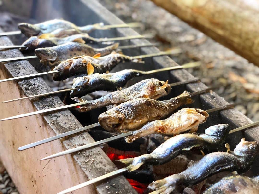 磯村洋祐のインスタグラム：「自然と食で幸せを！ #時山養魚場」
