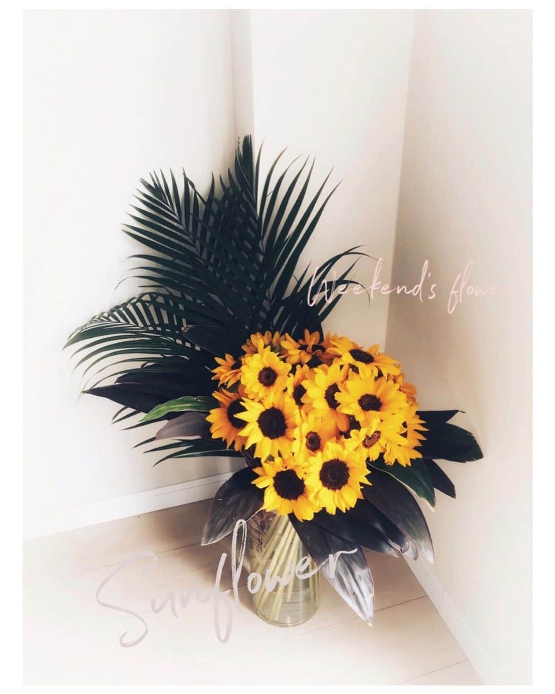 のインスタグラム：「向日葵　Sunflower Soleil﻿ ﻿ ﻿ ﻿ ﻿ ﻿ 向日葵🌻﻿ 向日葵を見ていると元気になるね。﻿ アレンジしてみた。﻿ ﻿ ﻿ ﻿ ﻿ #sunflower #soleil #flowers #lifewithflower﻿ #green #flower-arrange #arrangement #向日葵﻿ #ヒマワリ #花のある暮らし #花暮らし #ひまわり﻿ #初夏 #季節花 #元気がでる花 #SouthAmerica #北アメリカ #17世期﻿」