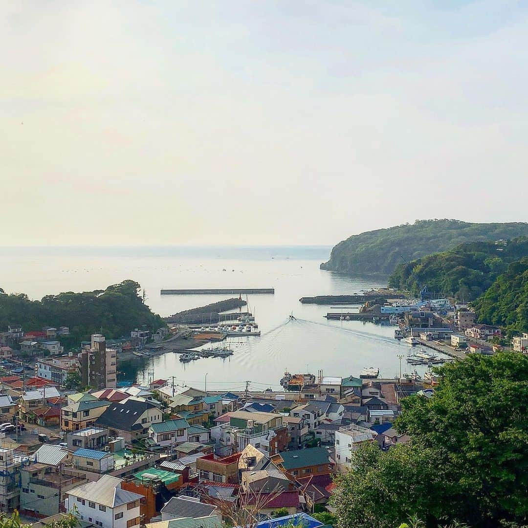 池内万作さんのインスタグラム写真 - (池内万作Instagram)「朝の半島散歩終了〜。 わけあって「海辺の途中」から魚座に降りてまた戻ったりしたので（トイレに行きたくなったのです）10kmくらいでしょうか。 最近は「歩きでも走りでもなんでもいいから、とりあえず朝半島を一周する」って方針でやらせてもらってます。 しかし、まだまだ知らない風景がありそう。 さて、家に帰りましょうかね〜。 #stopデ部 #真鶴半島 #万散歩」6月9日 7時44分 - mandeshita