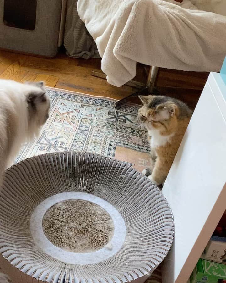 Tinaのインスタグラム：「Happy best friends day. 😳💕#BestFriendsDay」