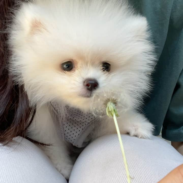 ダユンのインスタグラム