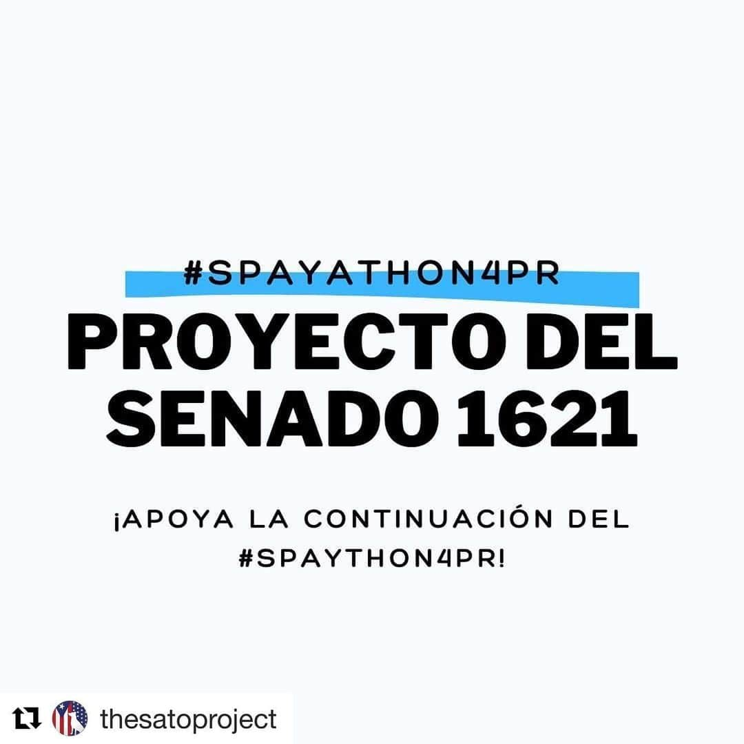 ロゼリン・サンチェスさんのインスタグラム写真 - (ロゼリン・サンチェスInstagram)「PLEASE READ AND SHARE... ・・・ Spayathon UPDATE!! WE HAVE A BILL!!! SENATE BILL 1621  Now is the time for action. Please Support Senate Project 1621 of Senator Miguel Romero's author so that we, The Sato Project, a proud member of the Spayathon coalition can continue to offer free sterilization and vaccination services in Puerto Rico.  Spayathon has treated over 53,000 animals so far and want to help 50,000 more!!!! #Spayathon4PR  When people come together and fight for the same thing incredible change can be made. We are seeing it now outside in our streets and cities. We ask that you let YOUR voices be heard by the 500,000 stray dogs that tonight will sleep outside, frightened, weary and hungry.  Look into the face of your sato and do it for them!  Please call your senator and let him know of your support: https://senado.pr.gov/Pages/Senadores.aspx  PLEASE SHARE!!! #Spayathon4PR #SatoStrong #SpayandNeuter #PuertoRico #senatebill1621」6月9日 8時59分 - roselyn_sanchez