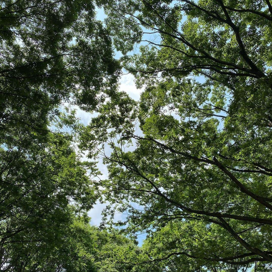 伊藤裕子さんのインスタグラム写真 - (伊藤裕子Instagram)「緑がほんとうに心地良く感じる！！！ 大きく深呼吸。  ただ、調子に乗ってこの後走ったら、疲れ過ぎて、爽やかさ0な私になってしまいました。  #みどり #散歩 #爽やかな人 #爽やかじゃない人」6月9日 9時28分 - yukoito_official