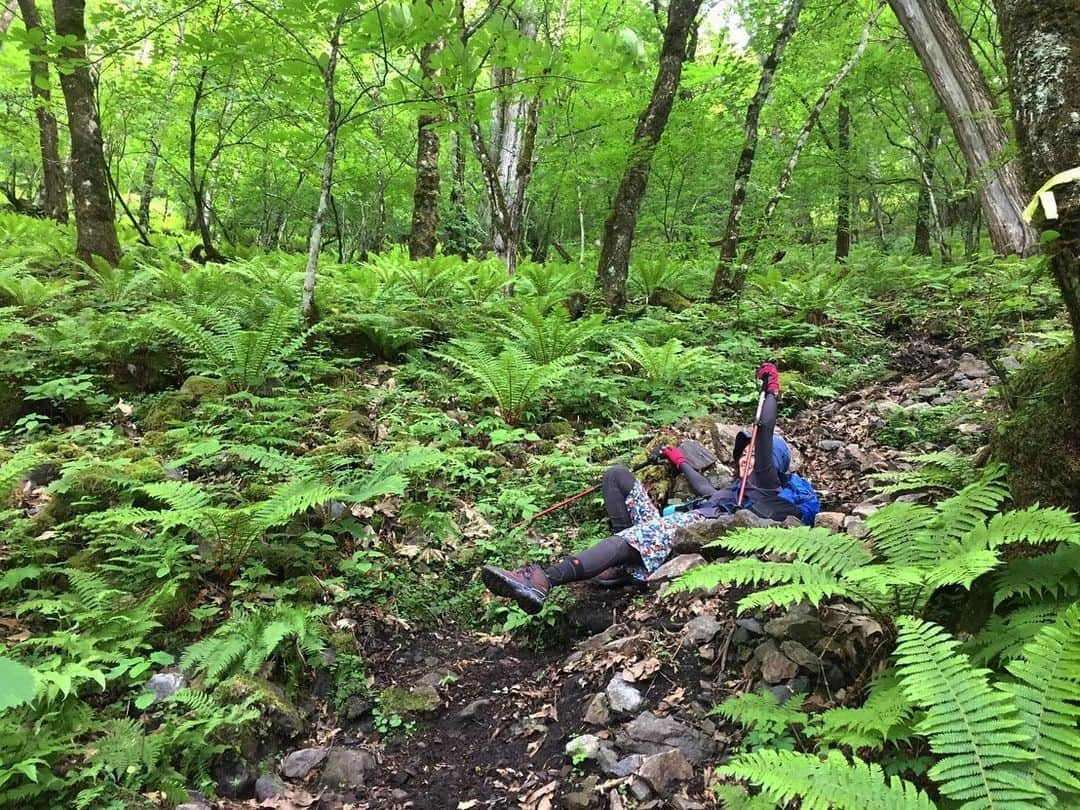 田中幸さんのインスタグラム写真 - (田中幸Instagram)「早朝登山の梯子に ハマってた時期  澄んだ空気と 清々しい雰囲気が好き  帰り道は要注意☠️ #荒船山 #茂来山 @marmot_japan  @marmot #marmot #マーモット #KEENAMBASSADOR #KEENJAPAN #KEEN #アウトドア #アウトドア女子 #山ガールファッション #山ガール #登山 #登山女子 #コーデ」6月9日 9時41分 - sachitanaka