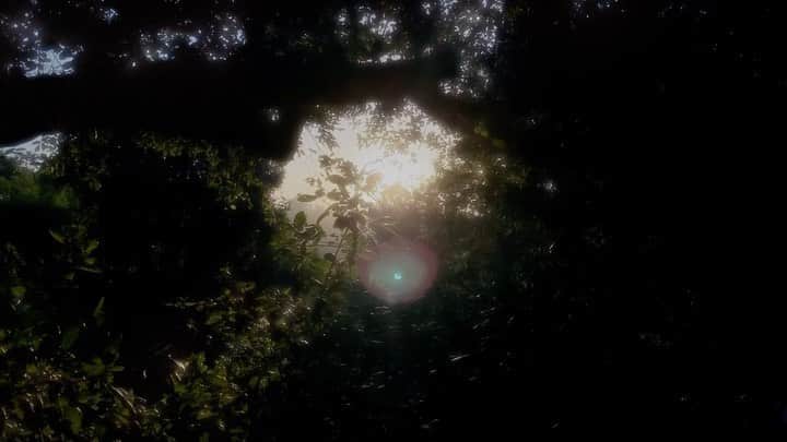 ナタリア・コルドバ・バックリーのインスタグラム：「Mañaneando en Wonderland. Cualquiera que sea nuestro presente, este carga consigo luz y alegría.  Vivir es solo posible en el presente momento. Tu vida radica solo en el ahora.  Que tú ahora sea un amanecer.」
