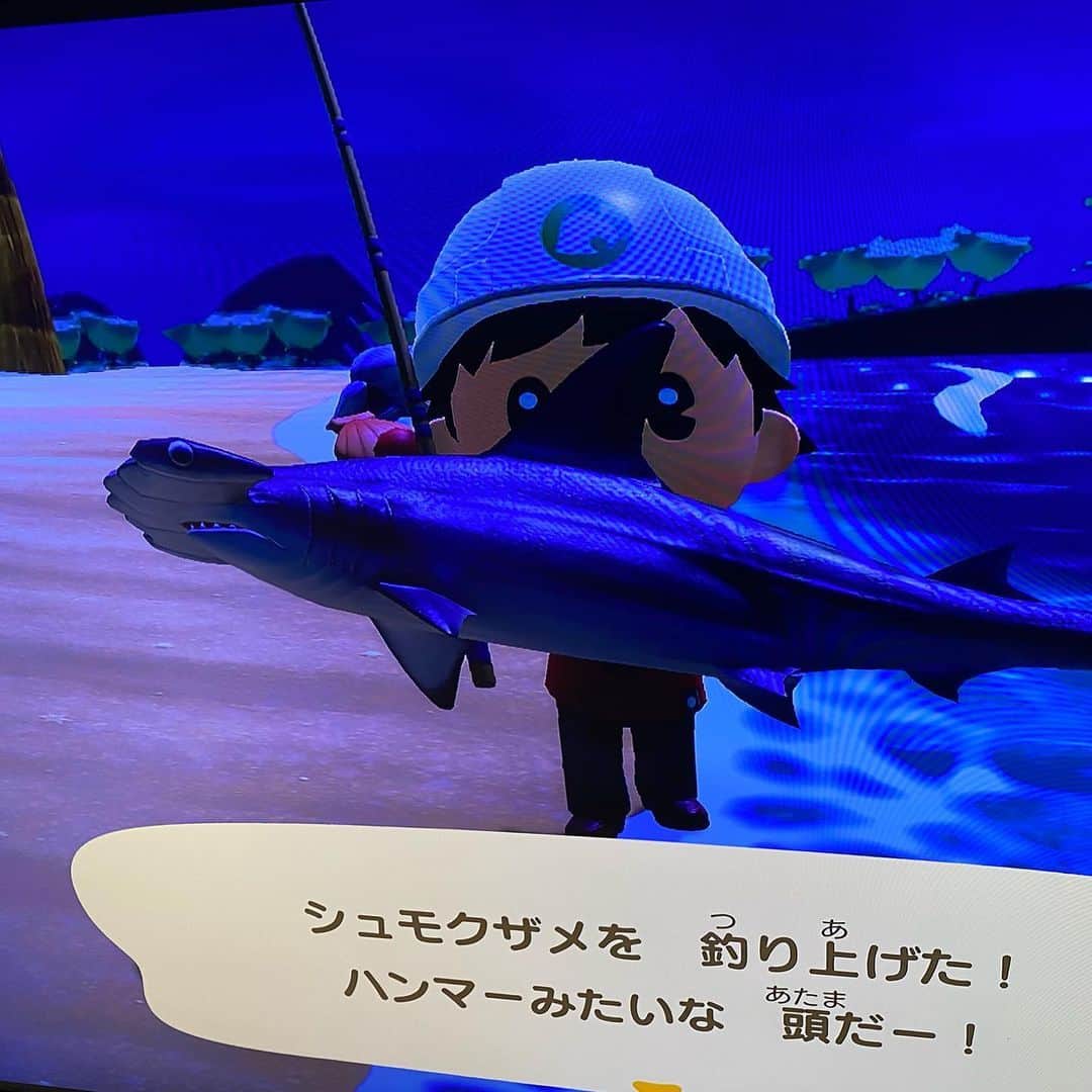 水木一郎さんのインスタグラム写真 - (水木一郎Instagram)「あつ森で６月に入ってサメなど釣れ過ぎ。もう10 匹以上釣れたのでアロワナやピラルクなどの川魚に切り替えましたZ! #あつまれどうぶつの森  #animalcrossing  #水木一郎 #ichiromizuki」6月9日 10時09分 - ichiromizuki