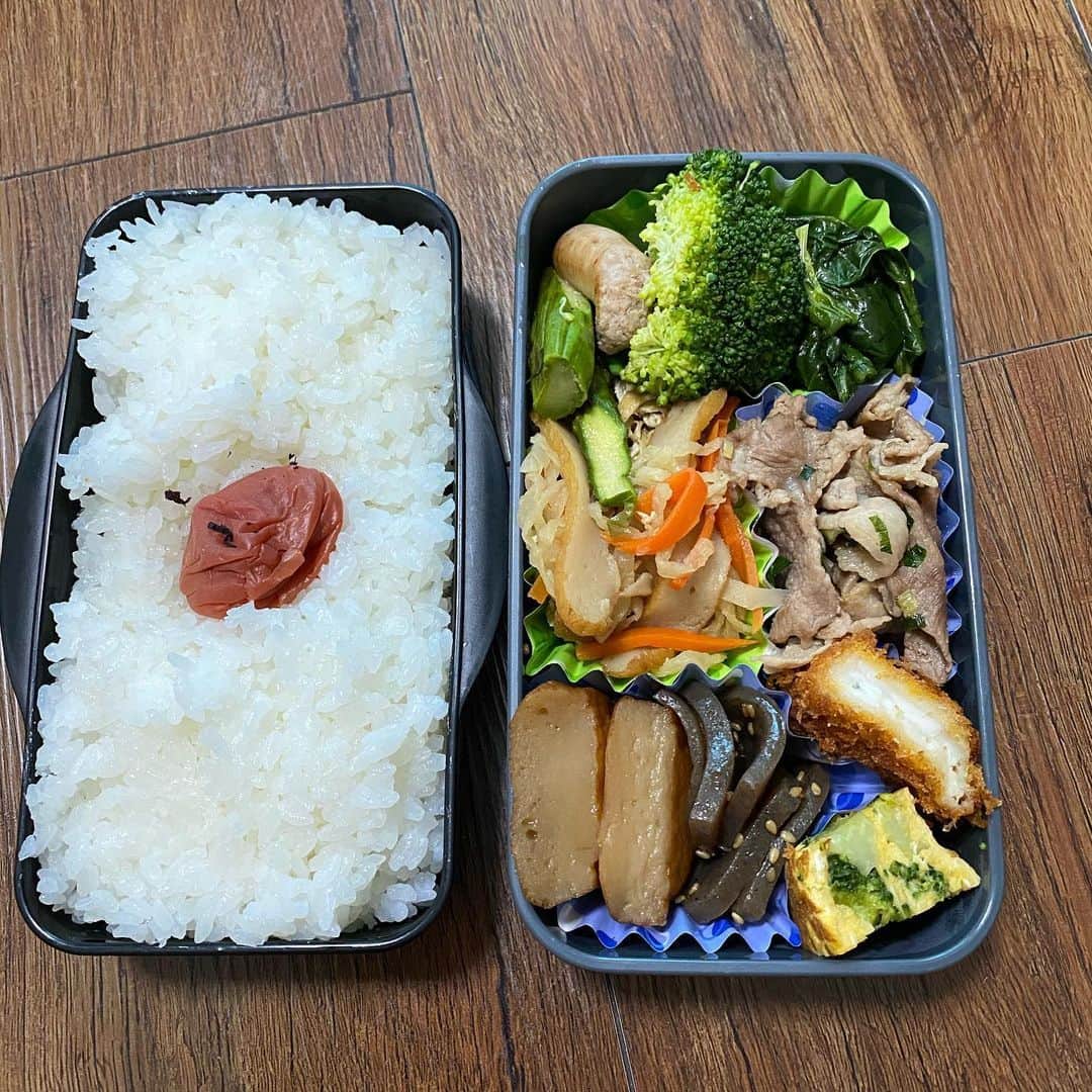 小田幸平のインスタグラム：「今日は愛媛マンダリンパイレーツ練習日⚾️弁当🍱持って行ってきまーす❗️愛媛30度まであがるみたいなのでヤバイ。野球できる喜びを噛みしめて頑張って来ます。#愛媛マンダリンパイレーツ#弁当#中日ドラゴンズ#読売ジャイアンツ#はげch#練習」