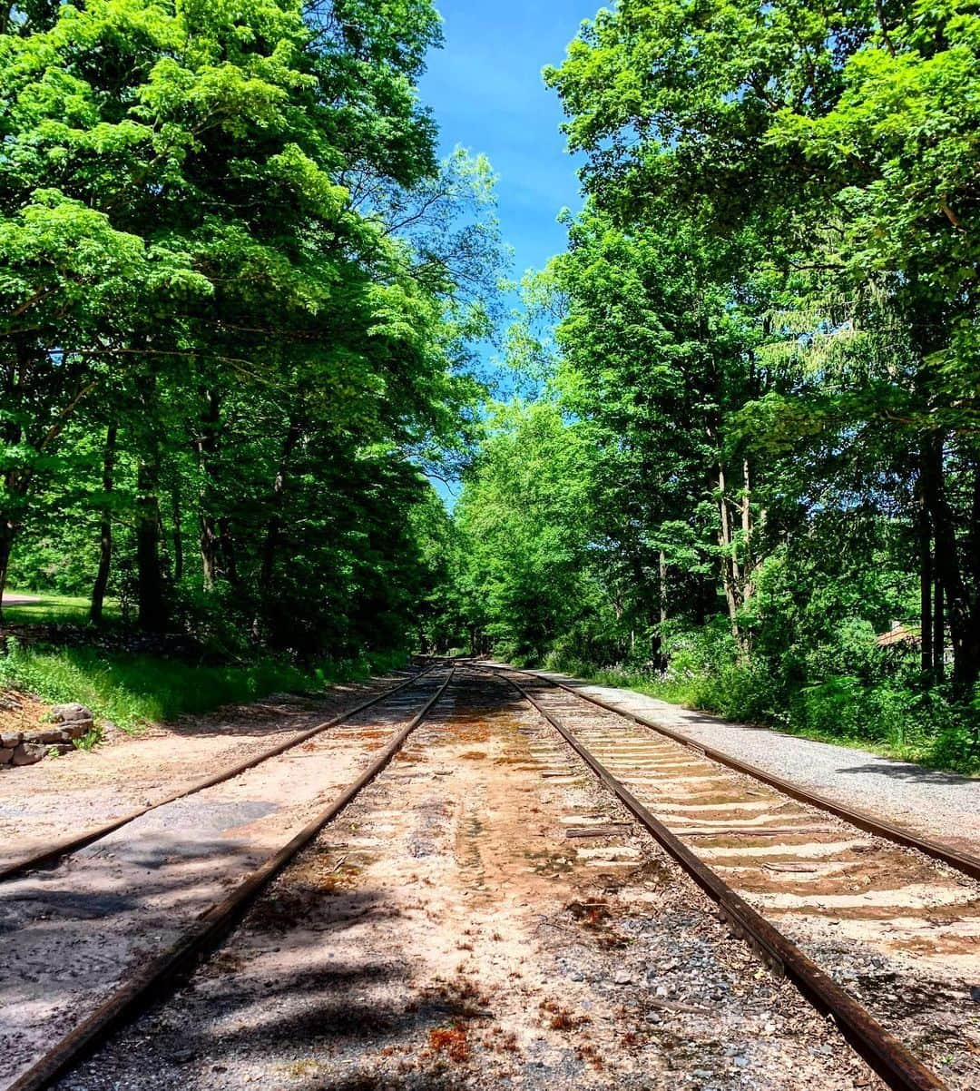 ブレンダン・ドーリングさんのインスタグラム写真 - (ブレンダン・ドーリングInstagram)「in the Catskills」6月9日 10時19分 - buhdools