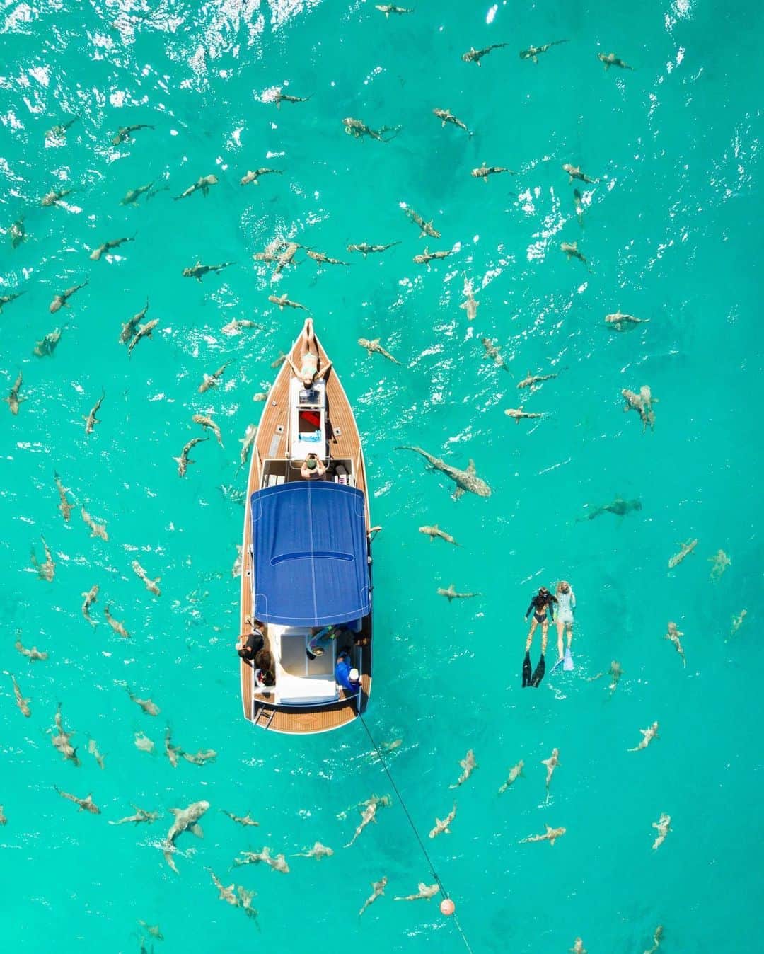 Travis Burkeのインスタグラム：「World Oceans Day. Like many of you, the Ocean is where I find incredible joy. Whether I'm surfing, freediving, or simply walking along the coastline, it’s undeniable the ocean has restorative, powerful properties, and in these times, we need the ocean now more than ever. #worldoceansday」