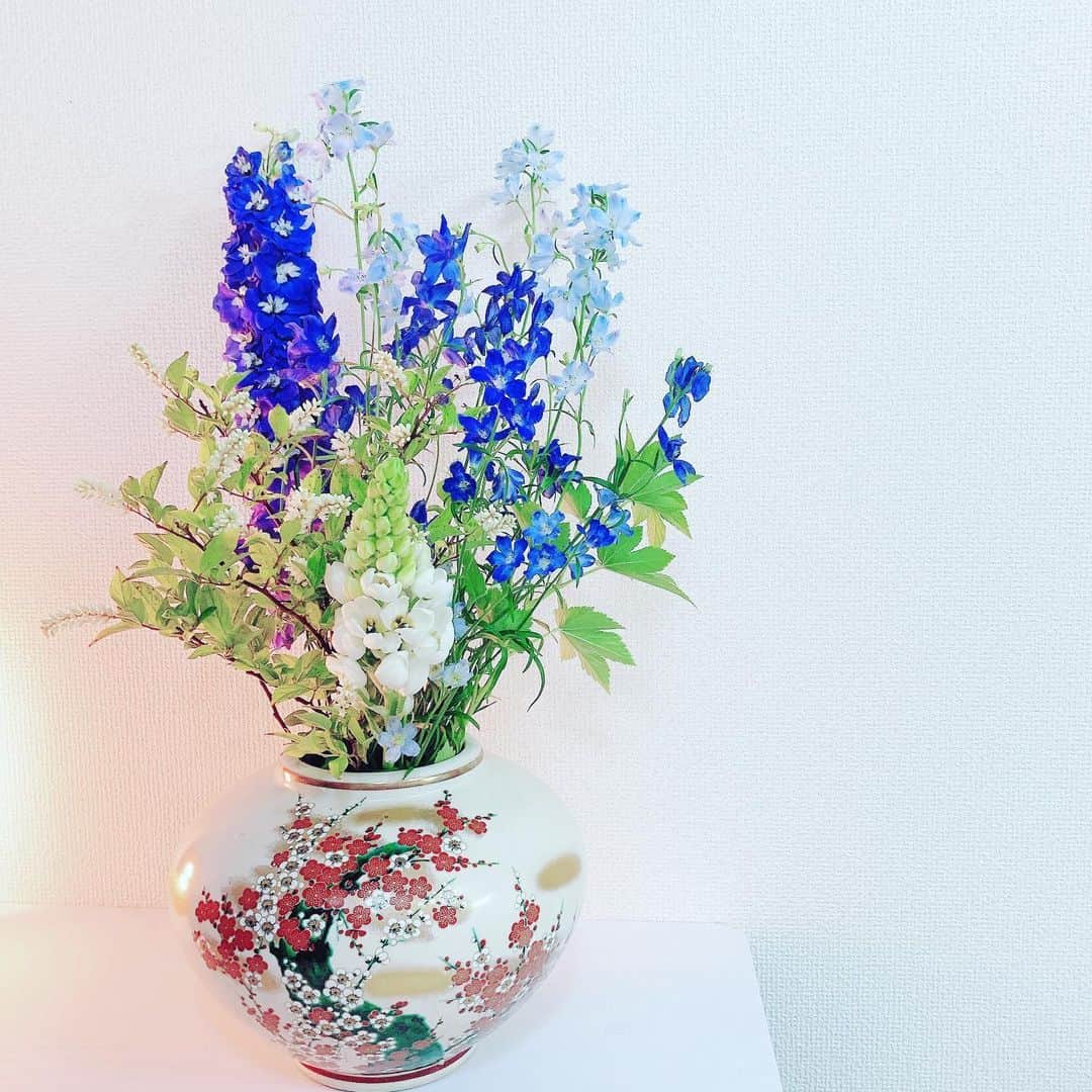 久保陽香さんのインスタグラム写真 - (久保陽香Instagram)「. . . 大好きな青色のお花たち  生けながら こうかな？こうかな？って やってる時間が楽しい  #デルフィニウム  #デルフィニウムオーロラ #デルフィニウムグランブルー  #デルフィニウムスーパーシフォンブルー #オーニソガラム  #ヒメリョウブ #くぼお花」6月9日 10時34分 - kubo_haru
