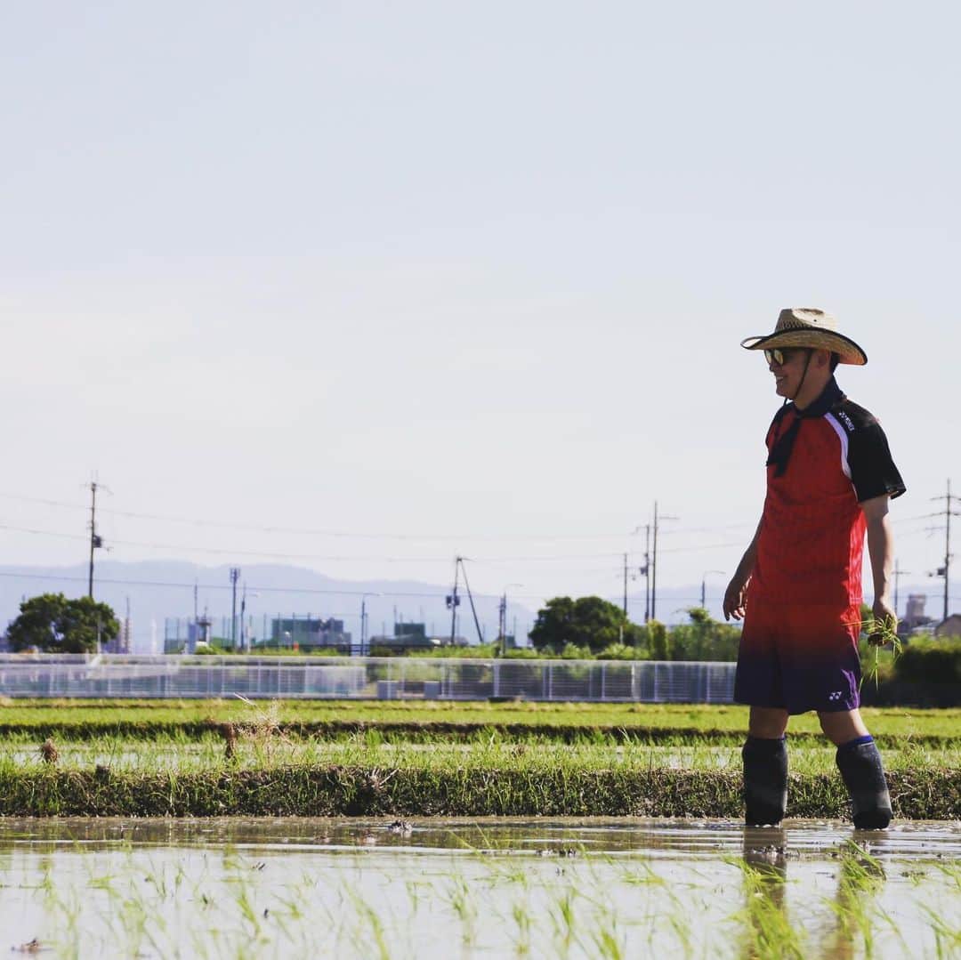 宮田麺児のインスタグラム：「田植え マイベストショット。  #田植え#山田錦#東大阪#田んぼ」