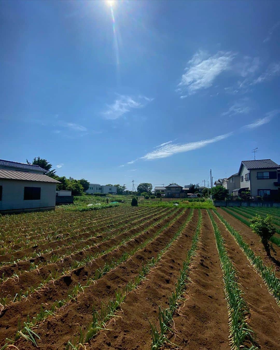 宍戸開のインスタグラム
