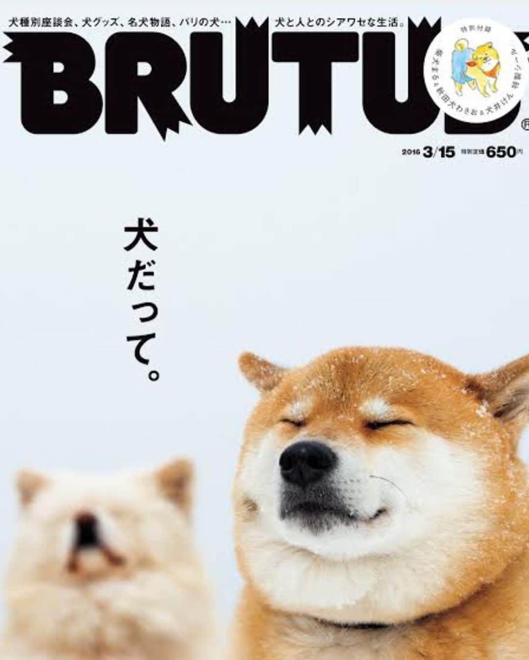 まる（まるたろう）のグルメインスタ