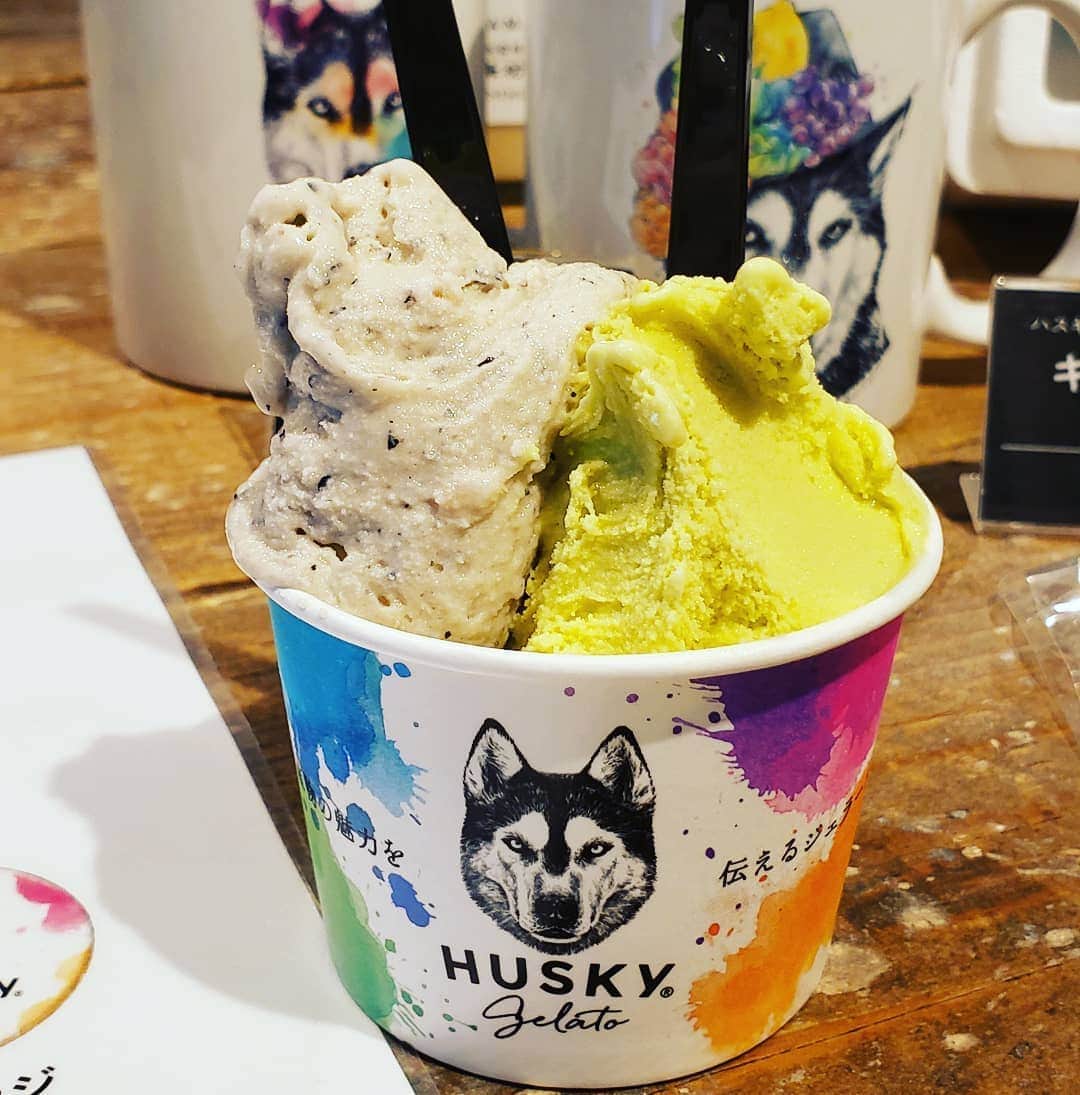 梅田陽子さんのインスタグラム写真 - (梅田陽子Instagram)「ジェラートが美味しい季節🍨 黒豆とピスタチオ。 暑い季節が好きです。  #ハスキージェラート#ジェラート#ジェラート好き#ハスキー犬#gelato #梅田陽子」6月9日 12時16分 - yokoumeda