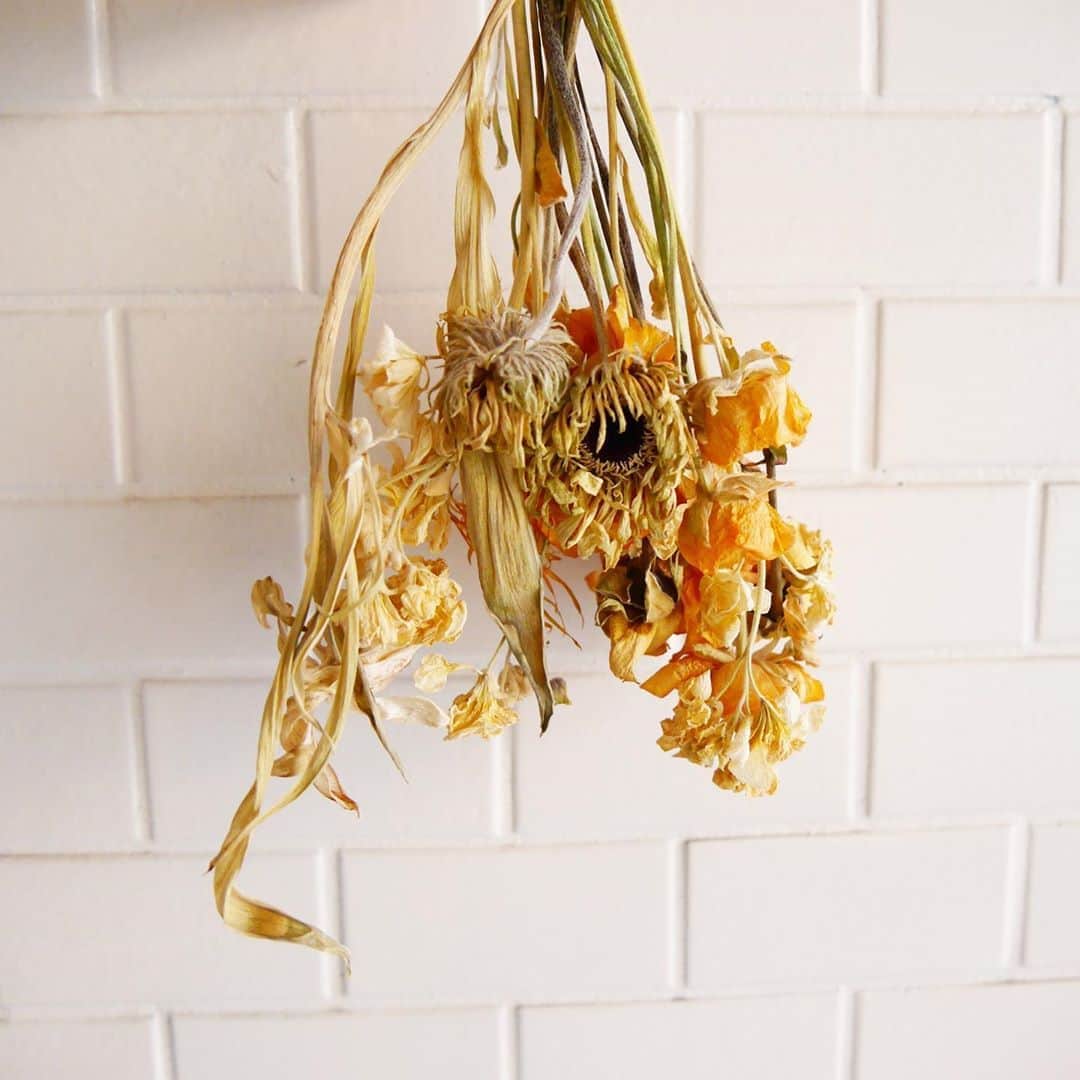 のインスタグラム：「💐 . 天気が良いと、気持ちもスッキリ。 明日は水曜日ですが、営業しております！ お持ち帰りも承ります、ぜひご利用ください。 . --------------------------- 平日 7:00〜21:00 L.O 休日 9:00〜21:00 L.O 定休日 毎月第1・第3水曜日 貸切パーティー要相談☆ WORLD NIGHBORS CAFE 03-5981-6211 ---------------------------」