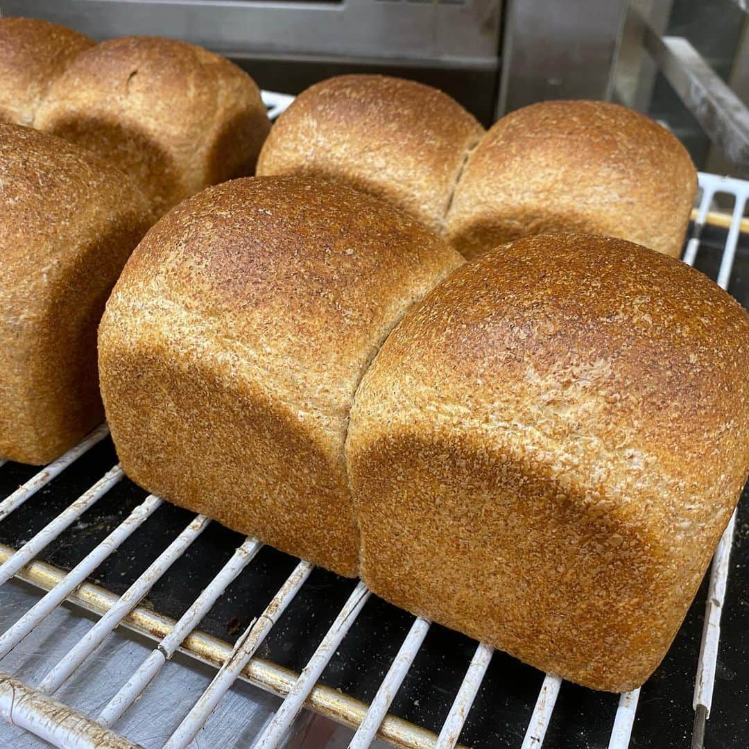 魔女菅原のグルメインスタ