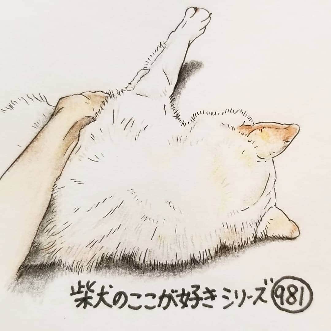 ハナとソラのインスタグラム