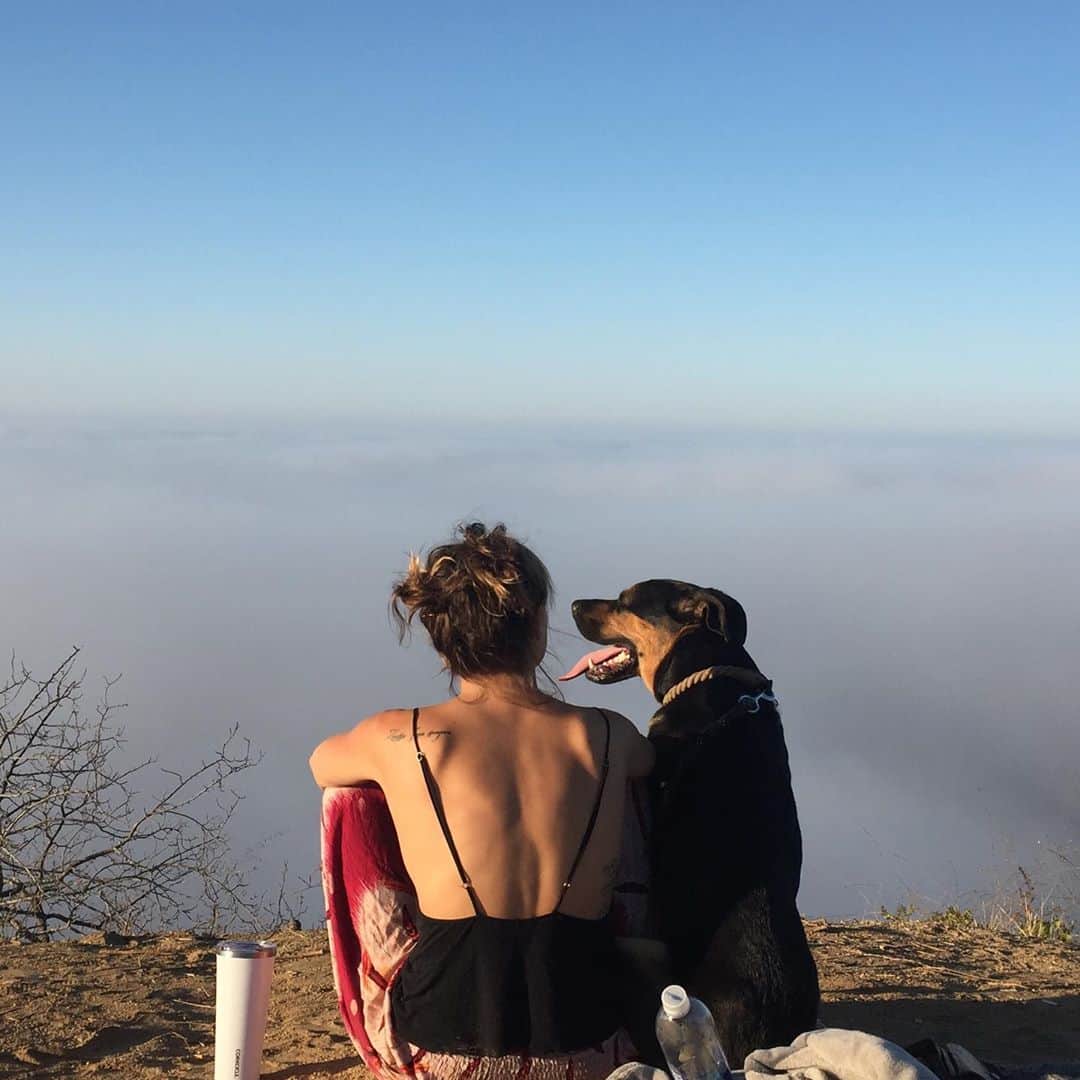 ブリアナ・エヴィガンのインスタグラム：「It’s been a good 5 years with my best friend. He’s taught me unconditional love and patience in ways I could have never imagined. Lucky to have this fur baby by my side. 🧡 #maxthecomebackdog #bigspoon #littlespoon」