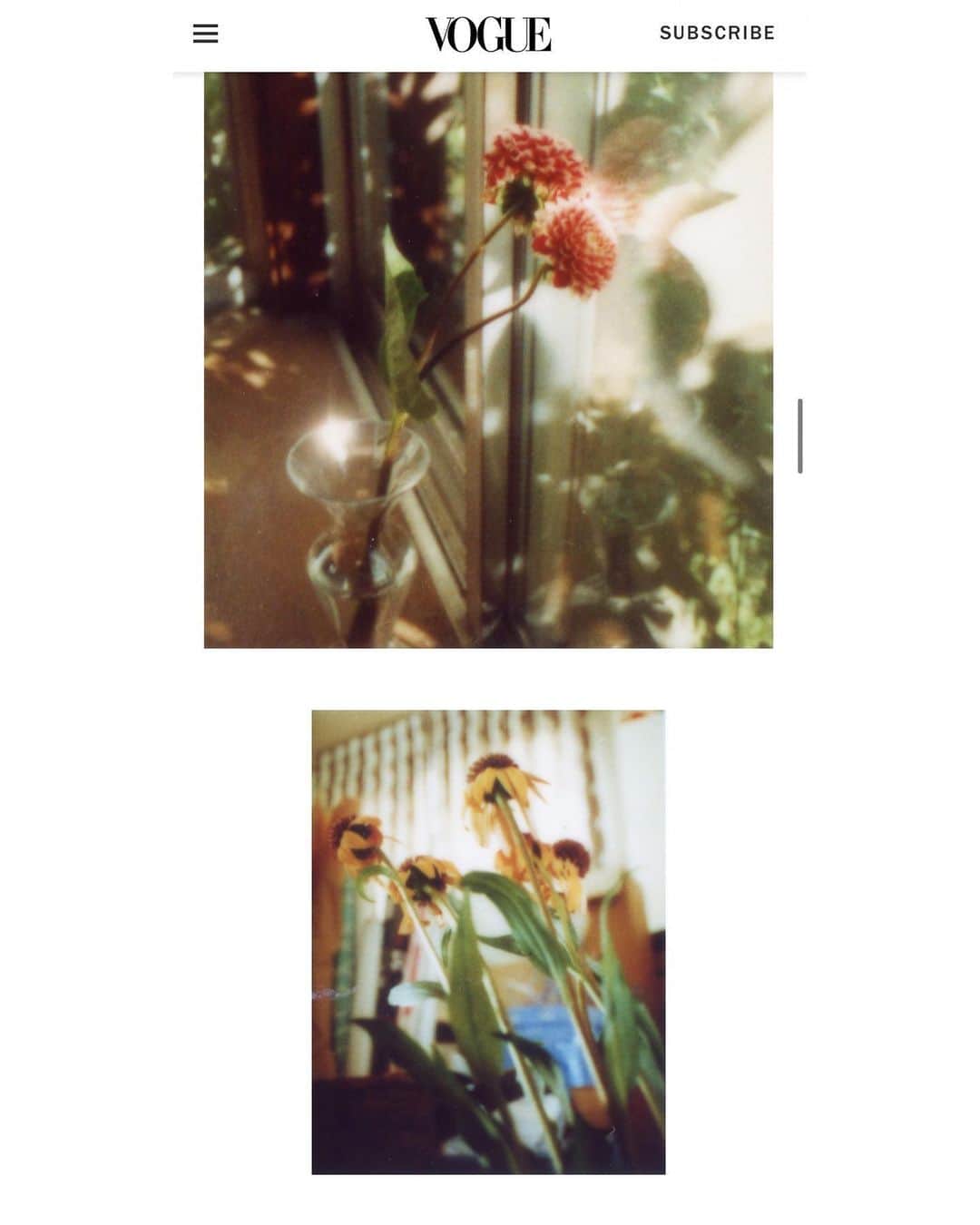 奥山由之さんのインスタグラム写真 - (奥山由之Instagram)「14 pictures from 『flowers』appear on the web site of  VOGUE (US). @voguemagazine @edenworks_  ー 「VOGUE（US）」のWEBサイトに『flowers』から14点の写真が掲載されております。 @voguemagazine @edenworks_」6月9日 22時27分 - yoshiyukiokuyama