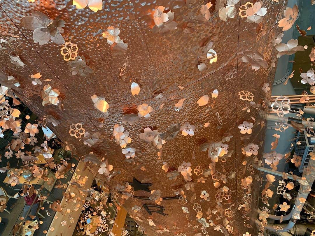 細田阿也のグルメインスタ